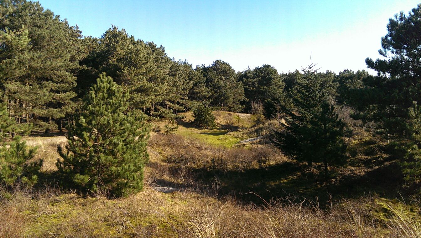 landschaft 1 landschaft 1